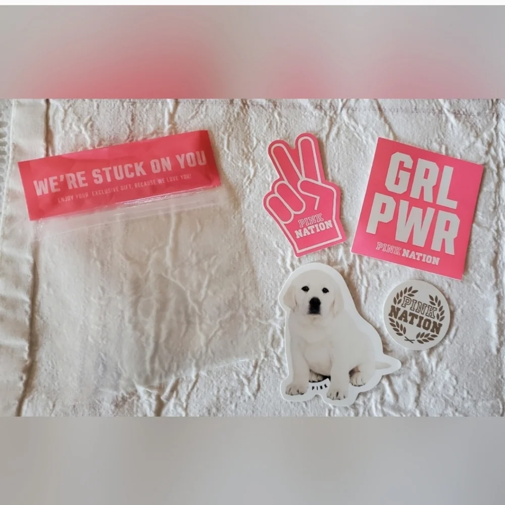 VS PINK 2019 Girl Puppy Power Were Stuck On You 4 piece sticker set RARE LIMITED - Picture 1 of 1